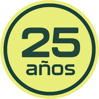 Ingeolineas 25 años
