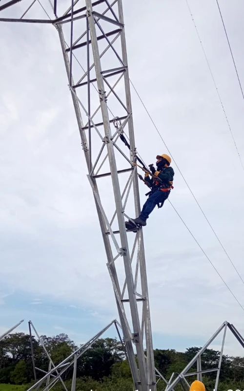 Líneas de transmisión eléctrica